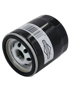 Filtre à huile origine d'origine référence 491056 pour moteur Briggs et Stratton 2