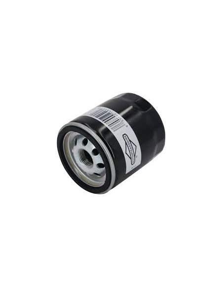 Filtre à huile origine d'origine référence 491056 pour moteur Briggs et Stratton