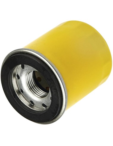 Filtre à huile d'origine référence 795990 pour moteur Briggs et Stratton