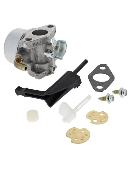 Carburateur d'origine référence 798653 pour moteur Briggs et Stratton