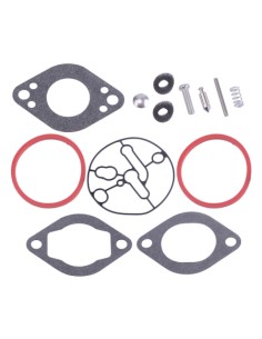 Kit carburateur d'origine référence 696146 pour moteur Briggs et Stratton