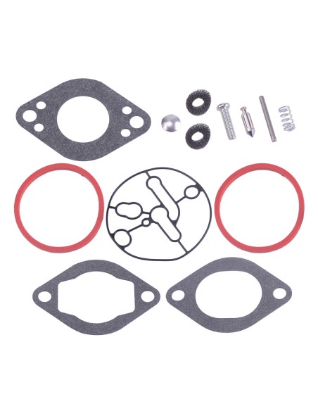 Kit carburateur d'origine référence 696146 pour moteur Briggs et Stratton