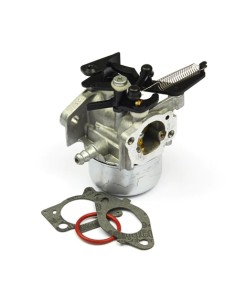 Carburateur ruixing d'origine référence 796608 pour moteur Briggs et Stratton