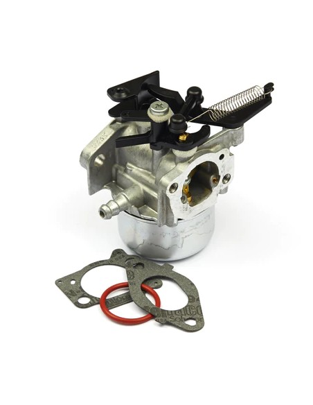 Carburateur ruixing d'origine référence 796608 pour moteur Briggs et Stratton