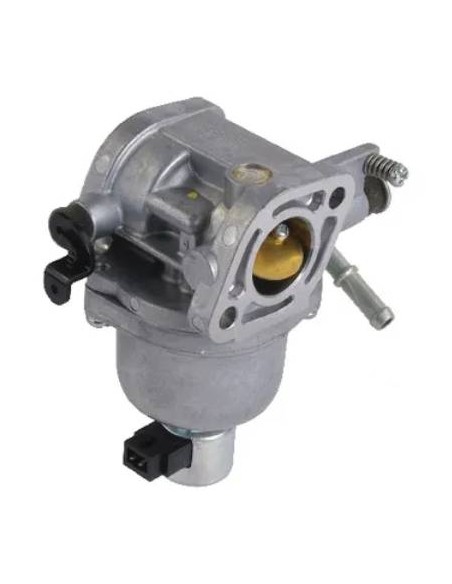 Carburateur d'origine référence 699807 pour moteur Briggs et Stratton
