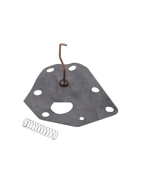 Membrane avec ressort d'origine référence 299637 pour moteur Briggs et Stratton