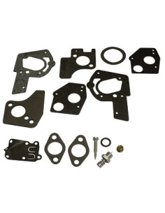 Kit joints carburateur d'origine référence 495606 pour moteur Briggs et Stratton