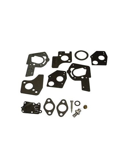 Kit joints carburateur d'origine référence 495606 pour moteur Briggs et Stratton