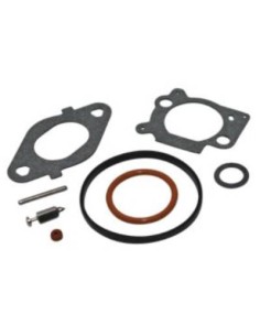 Kit joints réparation carburateur d'origine référence 796612 pour moteur Briggs et Stratton