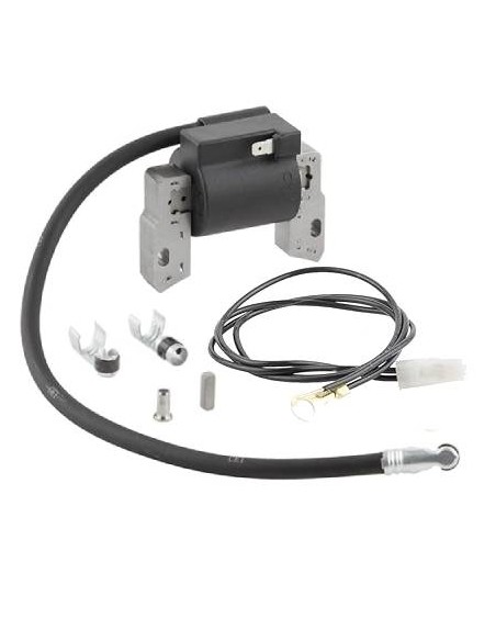 Bobine électronique référence 591420 d'origine Briggs et Stratton