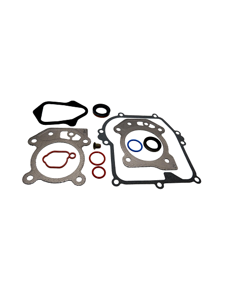 Kit de joints pour moteur d'origine référence 84006582 pour moteur Briggs et Stratton