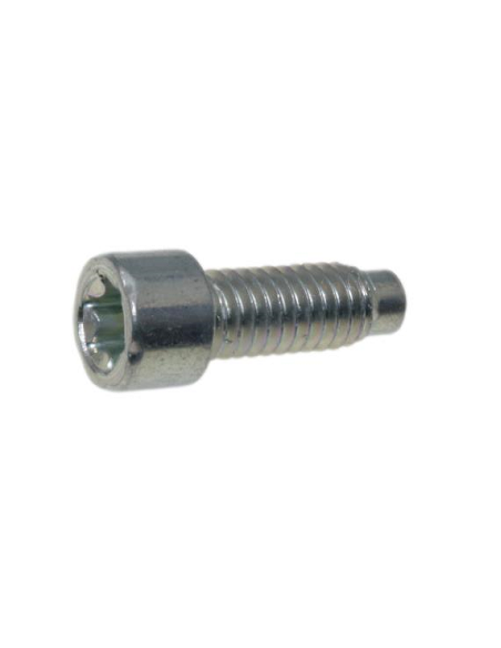 Vis fixation échappement d'origine référence 698941 pour moteur Briggs et Stratton
