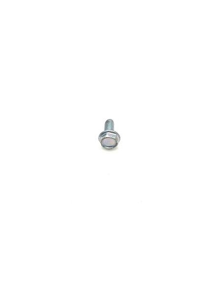 Vis d'origine référence 793500 pour moteur Briggs et Stratton