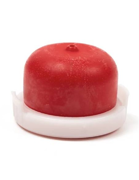 Pompe d'amorçage percée carburateur d'origine référence 594281 pour moteur Briggs et Stratton
