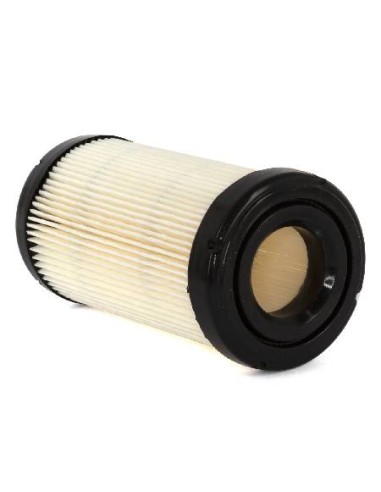 Filtre a air moteur cylindrique origine d'origine référence 793569 pour moteur Briggs et Stratton