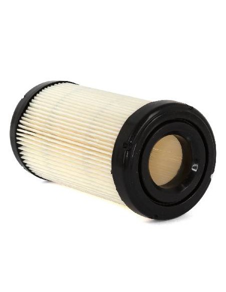 Filtre a air moteur cylindrique origine d'origine référence 793569 pour moteur Briggs et Stratton