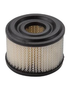Filtre a air moteur d'origine référence 390492 pour moteur Briggs et Stratton