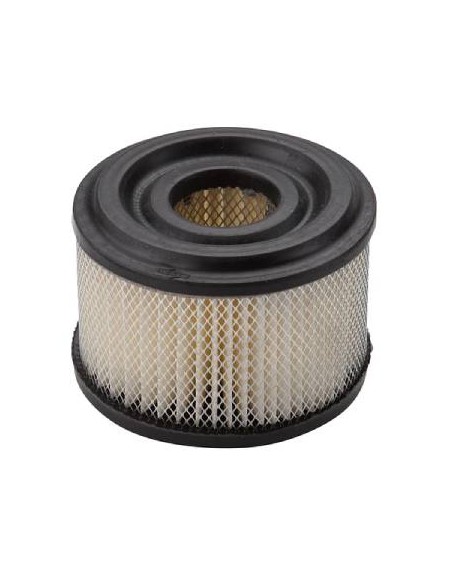 Filtre a air moteur d'origine référence 390492 pour moteur Briggs et Stratton