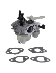 Carburateur d'origine référence 596080 pour moteur Briggs et Stratton 2