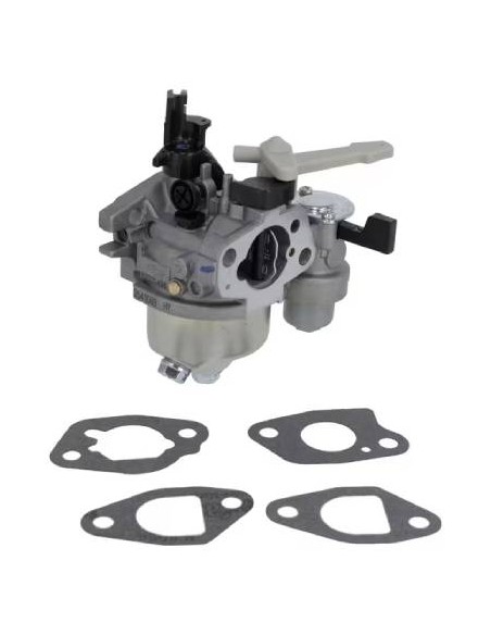 Carburateur d'origine référence 596080 pour moteur Briggs et Stratton