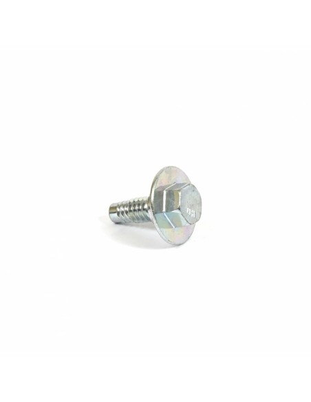 Vis d'origine référence 594618 pour moteur Briggs et Stratton
