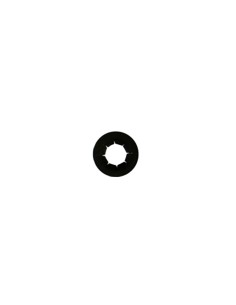 Circlip 25 d'origine référence 51116 Hydro Gear