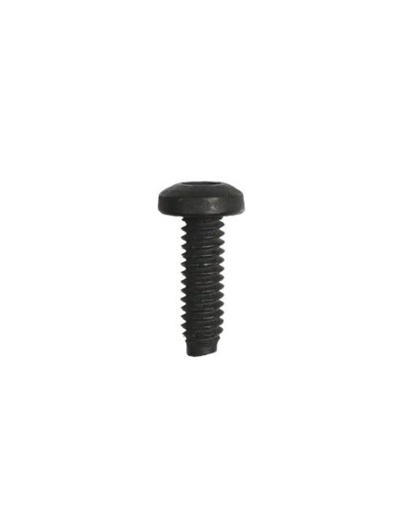 Vis d'origine référence 696255 pour moteur Briggs et Stratton