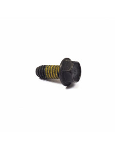 Vis d'origine référence 690877 pour moteur Briggs et Stratton