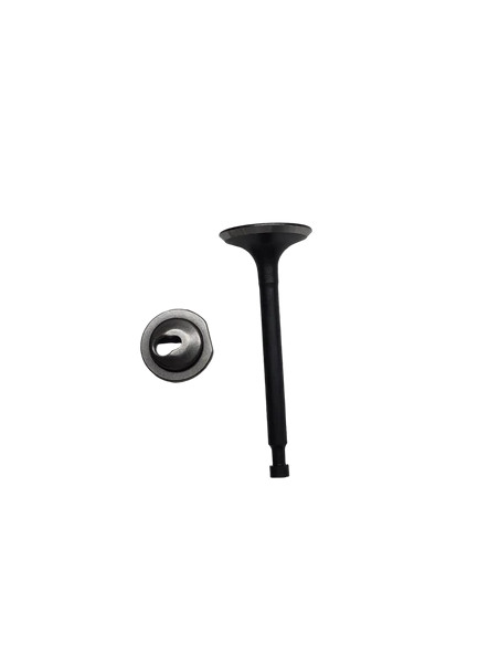 Soupape admission d'origine référence 591447 pour moteur Briggs et Stratton