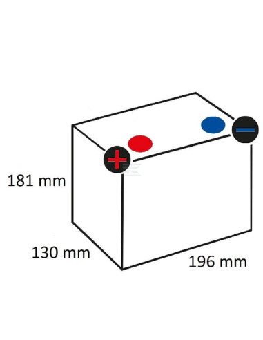Batterie 12V - 24Ah 12n24 4A + gauche pour tracteur-tondeuse