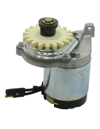 Démarreur 12 dents d'origine référence 84005206 pour moteur Briggs et Stratton