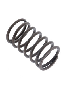 Ressort de soupape d'origine référence 691270 pour moteur Briggs et Stratton