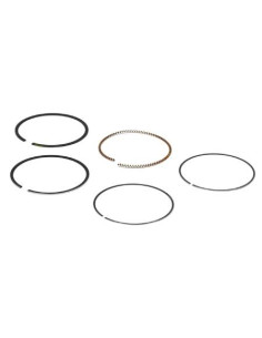 Jeu de segments racleur 2.5mm d'origine référence 795431 pour moteur Briggs et Stratton