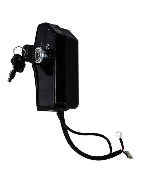 Contacteur de démarrage avec clé d'origine référence 591371 pour moteur Briggs et Stratton