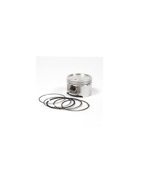 Piston avec jeu de segments d'origine référence 843951 pour moteur Briggs et Stratton