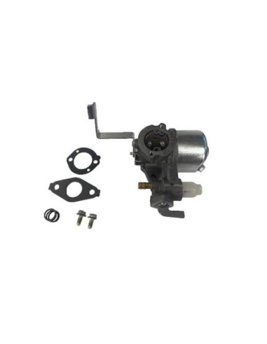 Carburateur d'origine référence 796447 pour moteur Briggs et Stratton