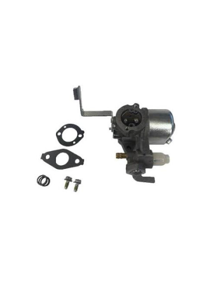 Carburateur d'origine référence 796447 pour moteur Briggs et Stratton