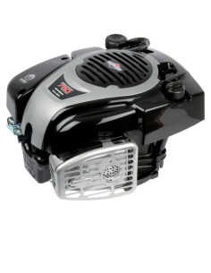 Moteur 550e d'origine référence 09P902-0001-H5 pour moteur Briggs et Stratton