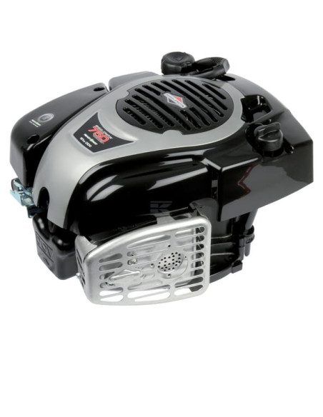 Moteur 550e d'origine référence 09P902-0001-H5 pour moteur Briggs et Stratton