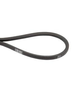 Courroie ha 042.25 d'origine référence 1701257SM Murray - Snapper - Simplicity - groupe Briggs et Stratton