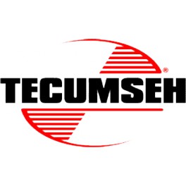 Tube d'origine référence 32447 Tecumseh