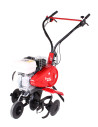 Pubert TERRO EasyGo